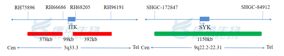 中国·拉斯维加斯(3499·官方认证)网站-Officialwebsite